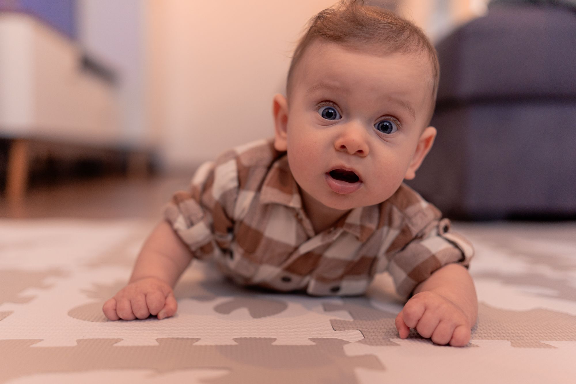 eb9bf4fe-5ecb-4249-85a3-5a88d3e2f722_med